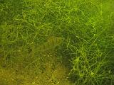2009-08-01 14-16-25S
